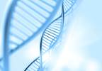 Evidence for a Role of Neuropeptide Y Receptor Variant in Depression Evidence for a Role of Neuropeptide Y Receptor Variant in Depression