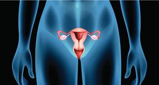 Although most female patients regain fertility after CHOP-like chemotherapy for aggressive lymphoma, late ovarian impairment occurs frequently. Although most female patients regain fertility after CHOP-like chemotherapy for aggressive lymphoma, late ovarian impairment occurs frequently.