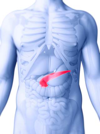 Researchers evaluated whether adding apatorsen to a standard chemotherapy regimen would improve outcomes among patients with metastatic pancreatic cancer. Researchers evaluated whether adding apatorsen to a standard chemotherapy regimen would improve outcomes among patients with metastatic pancreatic cancer.