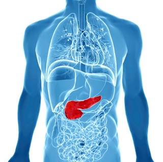 Recent research shows that enoxaparin effectively prevents VTE complications in advanced pancreatic Recent research shows that enoxaparin effectively prevents VTE complications in advanced pancreatic