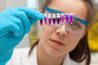 Polatuzumab plus rituximab in relapsed/refractory follicular lymphoma showed high overall response rates. Polatuzumab plus rituximab in relapsed/refractory follicular lymphoma showed high overall response rates.