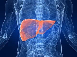 Patients with HCC who have advanced on sorafenib have poor prognosis and few additional treatment options. Patients with HCC who have advanced on sorafenib have poor prognosis and few additional treatment options.