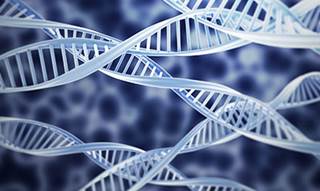 Integration of the mutational status of seven genes with clinical risk factors improves prognostication for follicular lymphoma. Integration of the mutational status of seven genes with clinical risk factors improves prognostication for follicular lymphoma.