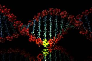 Afatinib plus vinorelbine is no more effective than trastuzumab plus vinorelbine in HER2-overexpressing metastatic breast cancer. Afatinib plus vinorelbine is no more effective than trastuzumab plus vinorelbine in HER2-overexpressing metastatic breast cancer.