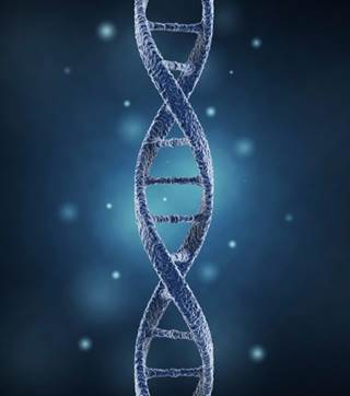 Human papillomavirus type 16 DNA in oral rinses is common at diagnosis, but rare after treatment for HPV oropharyngeal carcinoma. Human papillomavirus type 16 DNA in oral rinses is common at diagnosis, but rare after treatment for HPV oropharyngeal carcinoma.