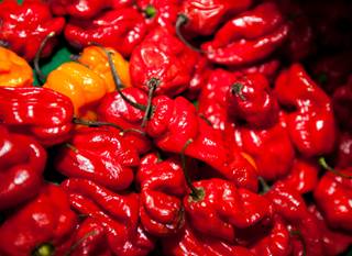 Adults who regularly eat spicy foods appear to have a reduced mortality risk. Adults who regularly eat spicy foods appear to have a reduced mortality risk.