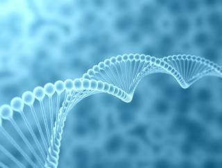 Since the advent of commercially available next-generation sequencing, women have been identified as carrying moderate-penetrance gene mutations. Since the advent of commercially available next-generation sequencing, women have been identified as carrying moderate-penetrance gene mutations.