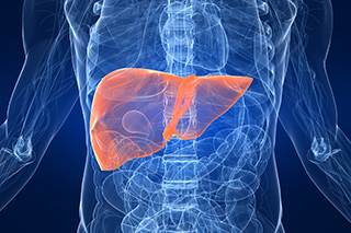 Treatment with sorafenib is not effective in the adjuvant setting for hepatocellular carcinoma following resection or ablation. Treatment with sorafenib is not effective in the adjuvant setting for hepatocellular carcinoma following resection or ablation.