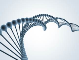 Variations in genes regulating tumor-associated macrophages-related functions associated with outcomes in metastatic colorectal cancer. Variations in genes regulating tumor-associated macrophages-related functions associated with outcomes in metastatic colorectal cancer.