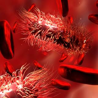 Results of a retrospective single-center study showed that response to rituximab vs splenectomy as second-line therapy for steroid-refractory ITP was not significantly different between the 2 treatmen Results of a retrospective single-center study showed that response to rituximab vs splenectomy as second-line therapy for steroid-refractory ITP was not significantly different between the 2 treatmen