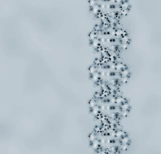 BRCA1 protein expression may be an important predictive biomarker of overall survival in glioblastoma multiforme. BRCA1 protein expression may be an important predictive biomarker of overall survival in glioblastoma multiforme.
