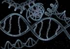 Plasma Tumor DNA in Breast Oncology Plasma Tumor DNA in Breast Oncology