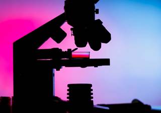 VMP and Rd demonstrate efficacy in older patients with newly diagnosed multiple myeloma. VMP and Rd demonstrate efficacy in older patients with newly diagnosed multiple myeloma.