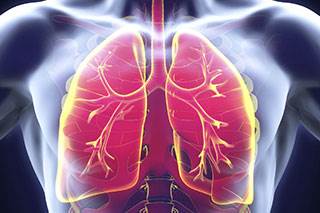 A comprehensive review of the 6 drugs approved for the treatment of patients with metastatic squamous and nonsquamous non-small cell lung cancer. A comprehensive review of the 6 drugs approved for the treatment of patients with metastatic squamous and nonsquamous non-small cell lung cancer.