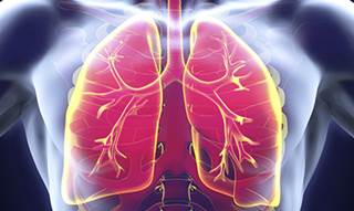 Nivolumab alone or combined with ipilimumab provided durable responses in patients with advanced small-cell lung cancer whose disease progressed on prior platinum therapies. Nivolumab alone or combined with ipilimumab provided durable responses in patients with advanced small-cell lung cancer whose disease progressed on prior platinum therapies.