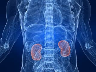 This fact sheet covers the stages of renal cell/kidney cancer as well as tests used to find out if the cancer cells have spread. This fact sheet covers the stages of renal cell/kidney cancer as well as tests used to find out if the cancer cells have spread.