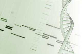 High baseline tumor-infiltrating lymphocytes are associated with a higher likelihood of achieving pCR in HER2-positive breast cancer regardless of the neoadjuvant chemotherapy regimen. High baseline tumor-infiltrating lymphocytes are associated with a higher likelihood of achieving pCR in HER2-positive breast cancer regardless of the neoadjuvant chemotherapy regimen.
