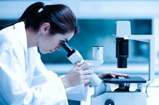 The recommended phase 2 dose is 800 mg twice daily. The recommended phase 2 dose is 800 mg twice daily.