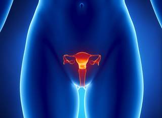 Researchers randomly assigned 74 patients to receive everolimus plus letrozole daily or tamoxifen daily plus medroxyprogesterone daily on alternating weeks. Researchers randomly assigned 74 patients to receive everolimus plus letrozole daily or tamoxifen daily plus medroxyprogesterone daily on alternating weeks.