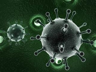 Patients with hepatitis C previously treated for hepatocellular carcinoma have high rates of recurrence when treated with direct-acting antivirals. Patients with hepatitis C previously treated for hepatocellular carcinoma have high rates of recurrence when treated with direct-acting antivirals.