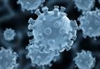 Liquid Biopsy to Detect BRAFV600 Mutations in Advanced Cancers Shows Promise Liquid Biopsy to Detect BRAFV600 Mutations in Advanced Cancers Shows Promise