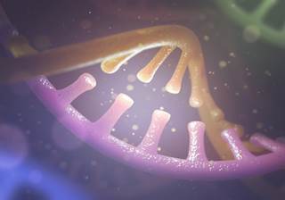 Information about the BRCA1 and BRCA2 genes and related genetic testing. Information about the BRCA1 and BRCA2 genes and related genetic testing.