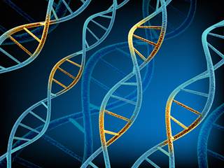 Bipolar disorder and schizophrenia are characterized by significant genetic overlap, as well as significant clinical presentation overlap. Bipolar disorder and schizophrenia are characterized by significant genetic overlap, as well as significant clinical presentation overlap.