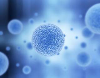 The findings of this study suggest that leflunomide may be an effective treatment of CMV infection among patients who have received allo-HSCT. The findings of this study suggest that leflunomide may be an effective treatment of CMV infection among patients who have received allo-HSCT.