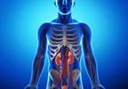 Evolutionary Logic May Aid the Development of Cancer Therapies Evolutionary Logic May Aid the Development of Cancer Therapies