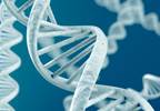 Genomic Information and the Future of Health Care Genomic Information and the Future of Health Care