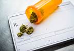 Seven States Approve Some Form of Marijuana Initiative Seven States Approve Some Form of Marijuana Initiative