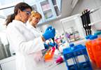Can Studying Tumor Ecology Reveal New Paths to Treatment? Can Studying Tumor Ecology Reveal New Paths to Treatment?