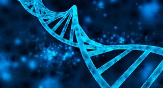 BRCA1 and RAD51C methylation in ovarian carcinomas are associated with sensitivity to PARP inhibitors, such as rucaparib. BRCA1 and RAD51C methylation in ovarian carcinomas are associated with sensitivity to PARP inhibitors, such as rucaparib.