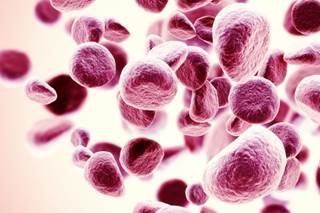 The FDA granted approval to rituximab and hyaluronidase human as a subcutaneous injection for the treatment of follicular lymphoma, chronic lymphocytic leukemia, and DLBCL. The FDA granted approval to rituximab and hyaluronidase human as a subcutaneous injection for the treatment of follicular lymphoma, chronic lymphocytic leukemia, and DLBCL.