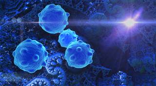 Cancer Therapy Advisor interviewed Dr Bakal about this new approach to analyzing cell shape and its potential to affect breast cancer treatment. Cancer Therapy Advisor interviewed Dr Bakal about this new approach to analyzing cell shape and its potential to affect breast cancer treatment.