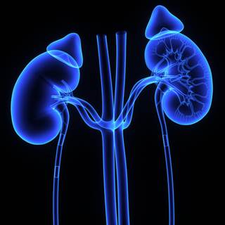 At a general session at the 2017 ASCO GU Symposium, the latest advances in managing SRMs will be discussed. At a general session at the 2017 ASCO GU Symposium, the latest advances in managing SRMs will be discussed.