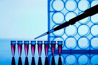 Study results suggest that the e13a2 BCR-ABL1 fusion transcript is associated with poorer clinical outcomes than the e14a2 transcript. Study results suggest that the e13a2 BCR-ABL1 fusion transcript is associated with poorer clinical outcomes than the e14a2 transcript.
