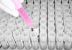 Random Mutations May Be Leading Cause of Oncogenesis Random Mutations May Be Leading Cause of Oncogenesis
