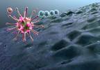 JAK1/2 Inhibition in Myelofibrosis Linked to Increased Risk for Aggressive B-Cell Lymphomas JAK1/2 Inhibition in Myelofibrosis Linked to Increased Risk for Aggressive B-Cell Lymphomas