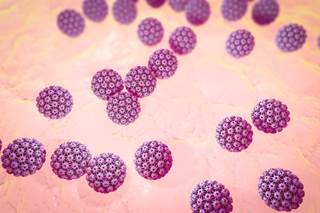 A review article highlighted the racial disparities in head and neck cancer incidence and identified how this relates to HPV infection. A review article highlighted the racial disparities in head and neck cancer incidence and identified how this relates to HPV infection.
