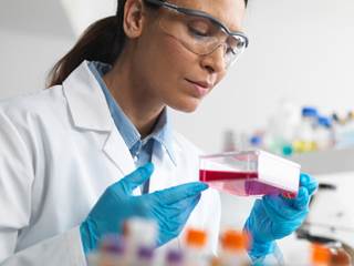 Previous studies have associated miR-181a dysregulation with various cancers, such as acute lymphoblastic leukemia as well as colon, breast, and pancreatic cancers, but its role in ccRCC is unknown. Previous studies have associated miR-181a dysregulation with various cancers, such as acute lymphoblastic leukemia as well as colon, breast, and pancreatic cancers, but its role in ccRCC is unknown.