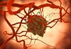 Establishing Links Between Germline Mutations and Oncogenesis Establishing Links Between Germline Mutations and Oncogenesis