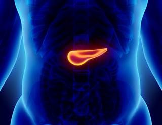 Preclinical models suggested that PEGPH20, which degrades hyaluronan, would improve survival among patients with metastatic pancreatic adenocarcinoma. Preclinical models suggested that PEGPH20, which degrades hyaluronan, would improve survival among patients with metastatic pancreatic adenocarcinoma.