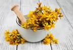 St John's Wort and Cancer St John's Wort and Cancer