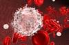 Will Maintenance Lenalidomide Become A Standard for Relapsed CLL? Will Maintenance Lenalidomide Become A Standard for Relapsed CLL?