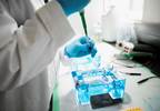 Genetic Predisposition to Cancer: Where Are We Now? Genetic Predisposition to Cancer: Where Are We Now?
