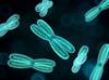 Do Additional Chromosomal Abnormalities Noted at CML Diagnosis Affect Response and Survival? Do Additional Chromosomal Abnormalities Noted at CML Diagnosis Affect Response and Survival?