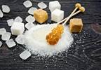The Warburg Effect: Can Cancer Be Starved of Sugar? The Warburg Effect: Can Cancer Be Starved of Sugar?