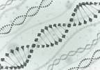 Can Inhibiting Ubiquitin Target Undruggable Tumor Proteins? Can Inhibiting Ubiquitin Target Undruggable Tumor Proteins?