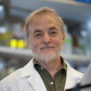Stephen B. Baylin, MD, professor of oncology at Johns Hopkins University in Baltimore, Maryland Stephen B. Baylin, MD, professor of oncology at Johns Hopkins University in Baltimore, Maryland